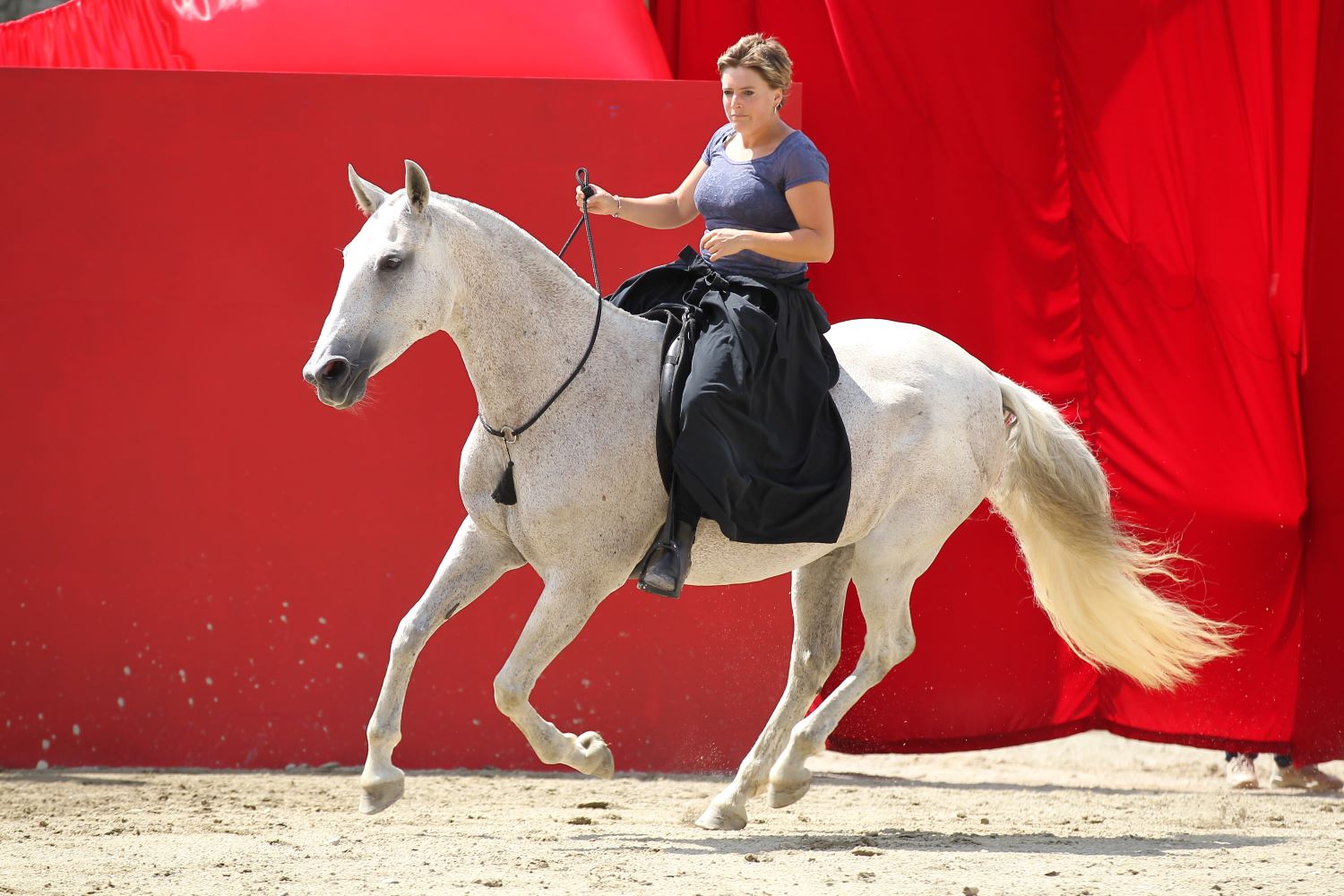 zone-r-equitation-camille-estrade_photo